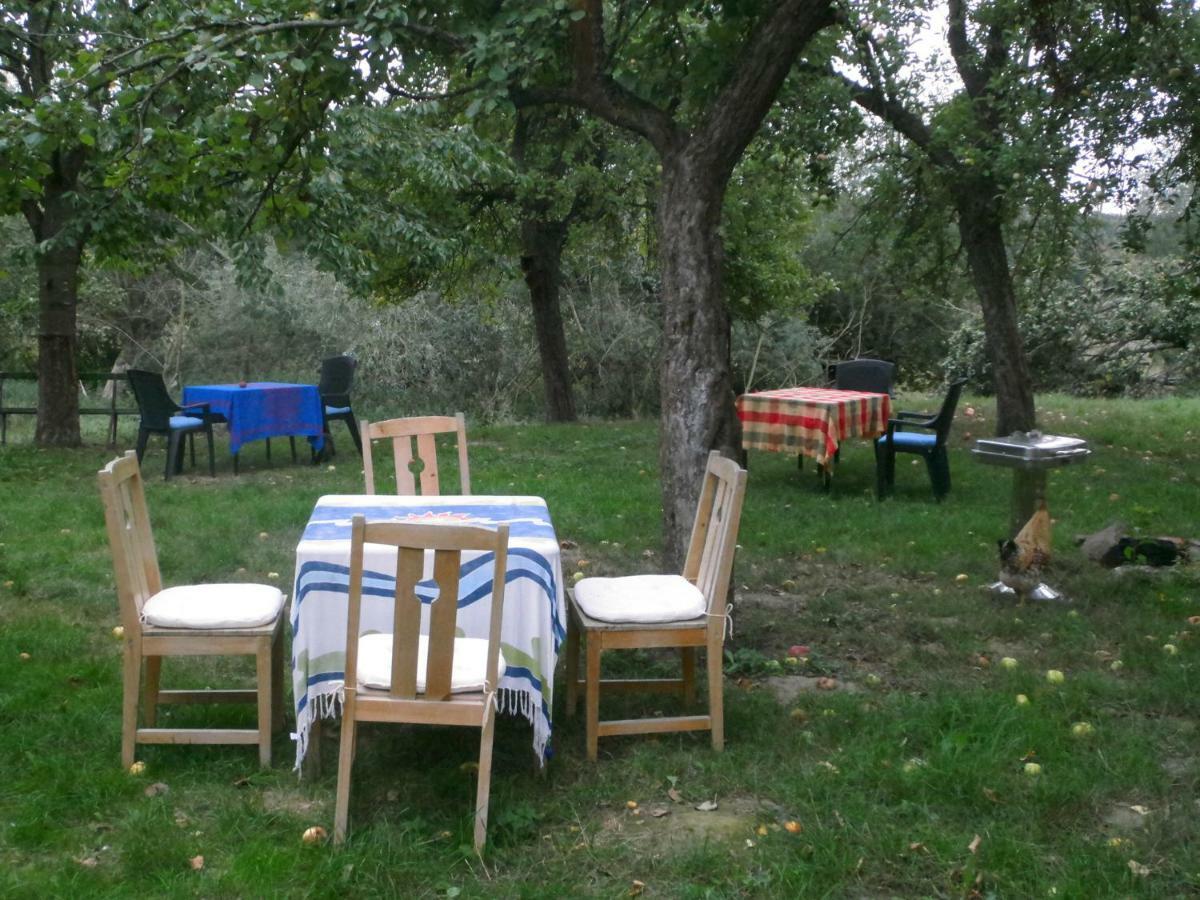 Appel-Ranch Appartement Bockelwitz Buitenkant foto